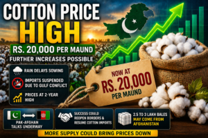 Cotton Price Pakistan Hits Rs20000 Per Maund High