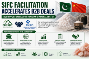 SIFC Mineral Deal Opens Major Pakistan China Opportunities